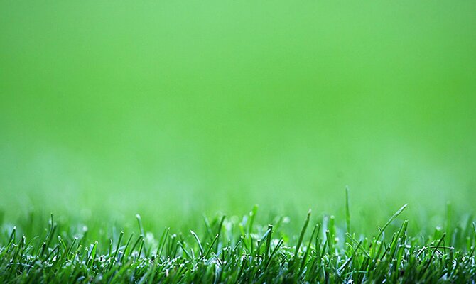 El alfombrado césped de un campo de futbol en primerísimo plano. Jornada 10 del Apertura de Paraguay