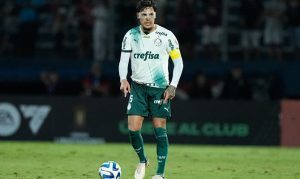 Picks Palmeiras vs Botafogo para un duelo en las alturas del Brasileirao